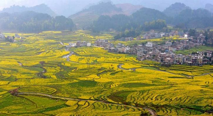 地址:广西河池市南丹县芒场镇搪泉村,小场镇拉易村,车河乡拉合村及