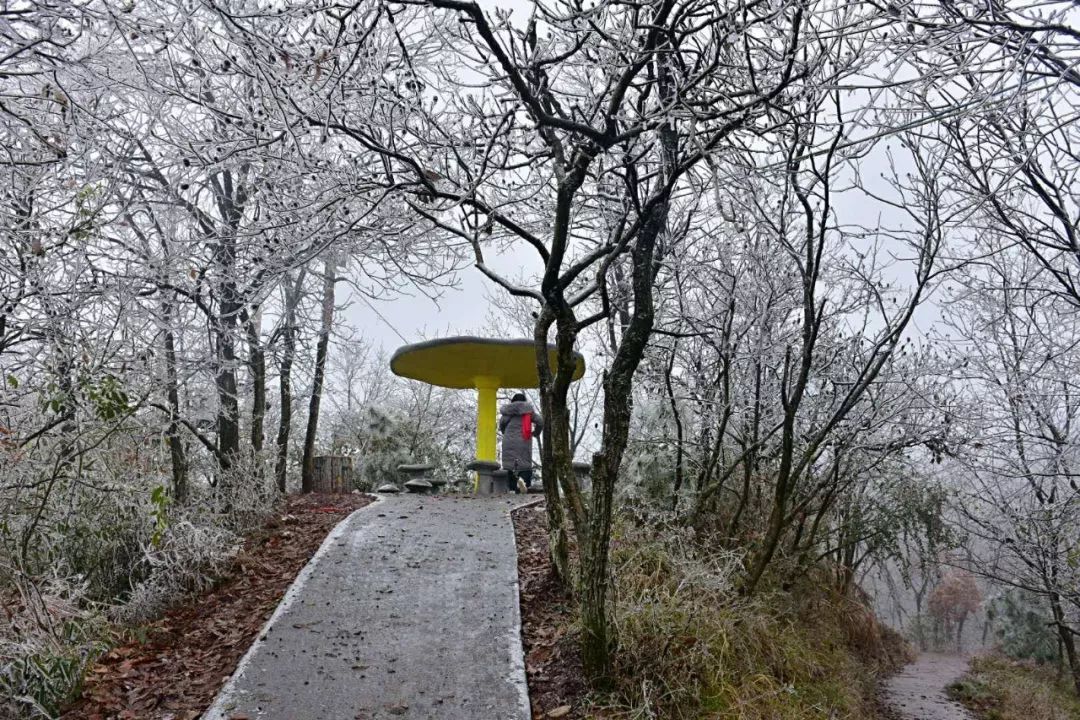 旅游 正文 金凤山山势雄奇峻秀 千级石阶蜿蜒曲折 该山是贵州佛教名山