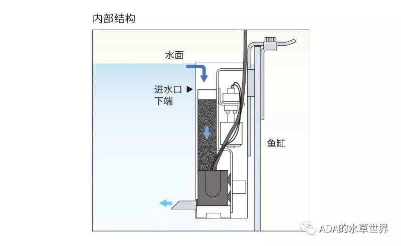 购买或者预定 佛波金属除油膜器2代 的朋友可以免费获得 自然水族水草