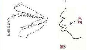 未经别人口_一家四口人的简笔画图(2)