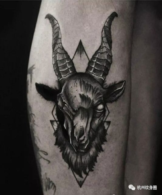 tattoo | 纹身素材: 摩羯座(capricornus)