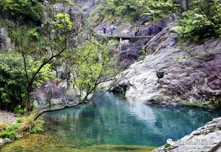 雁荡山雁湖,凌云尖穿越记