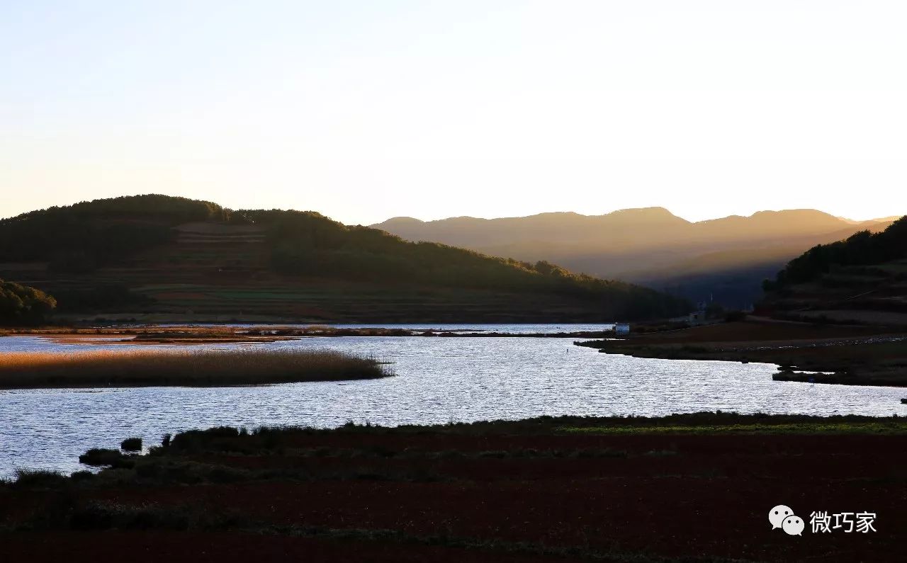 行摄巧家‖冬日的马树湿地