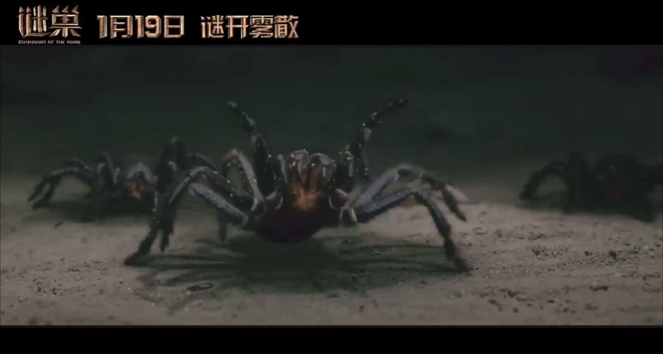 演完《谜巢》,吴尊感叹:毒蜘蛛比你想象的还要可怕