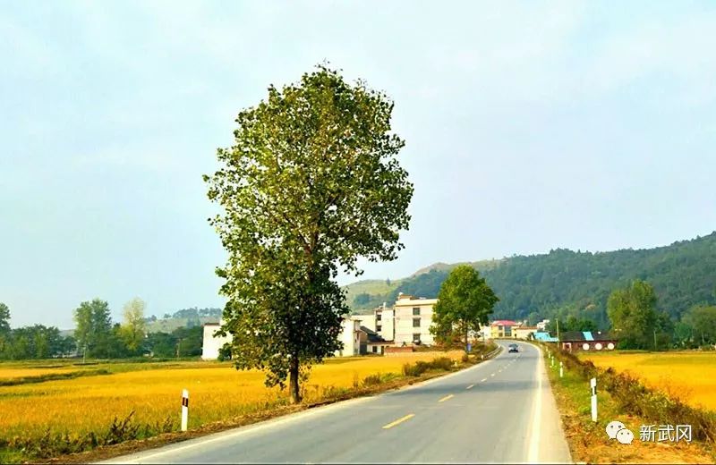 通过突出重点建设外通内联的"康庄大道路,集中力量建设通村畅乡的"