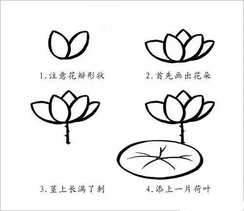 最新幼儿园植物简笔画,简单易学(附动图教程)