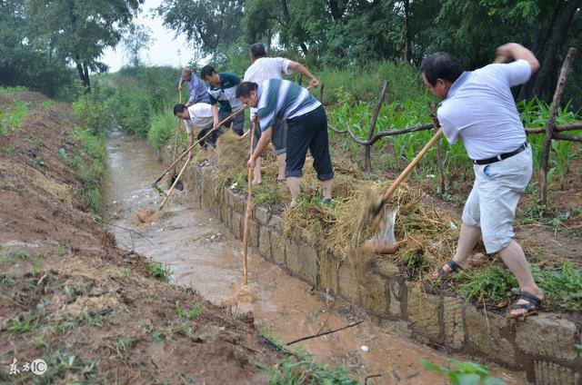 带头给村里建一条灌溉水渠,村民的态度,让他二十年没回村