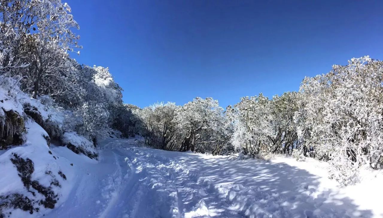 下雪啦!这个冬天龙肘山的第一场雪,这里已经美