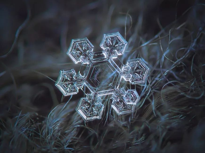 最常见的就是蕨类状星型雪花 它有一个很小的中心 然后像树一样发散