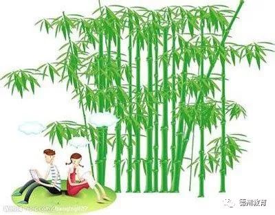 地两个人猜成语是什么成语_疯狂猜成语两个人草是什么成语 两个人草答案