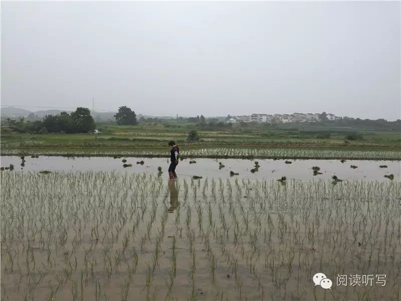 感想优质回答经验怎么写_优质回答的经验与感想_怎么回答感想的问题