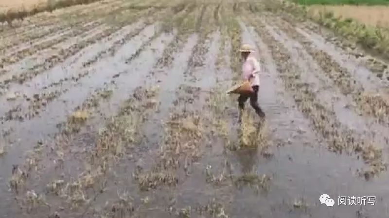 感想优质回答经验怎么写_怎么回答感想的问题_优质回答的经验与感想