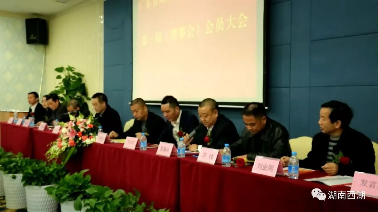 广东省湖南常德商会西湖分会成立