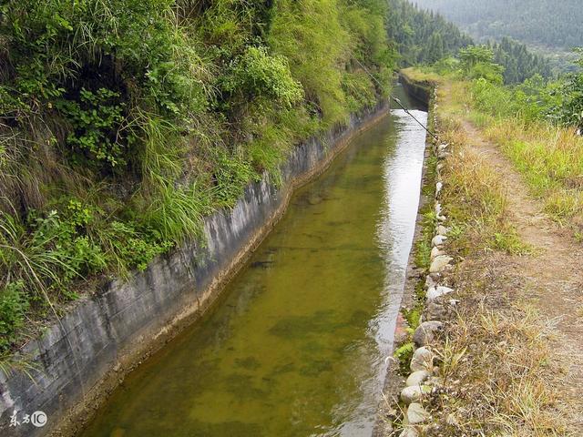 带头给村里建一条灌溉水渠,村民的态度,让他二十年没回村