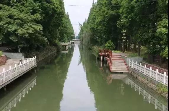 柳茹村人口_绯村剑心真人