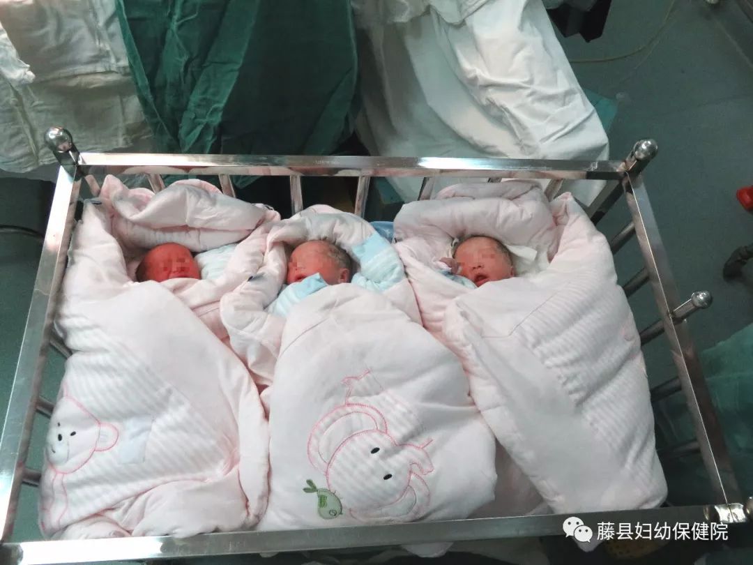 图为顺利出生的三胞胎宝宝)