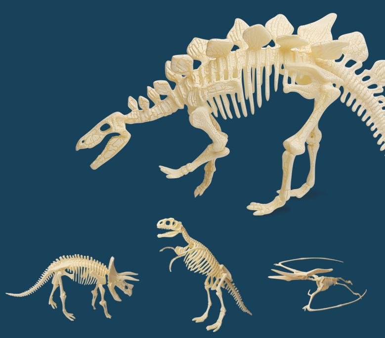 【新品试用】恐龙化石考古玩具|把考古现场搬回家,下个考古学家就是你