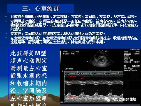 临床常用的有三种:m型,二维和多普勒超声心动图.