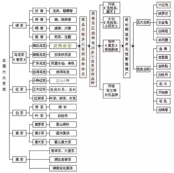 一招教你识别六大茶类