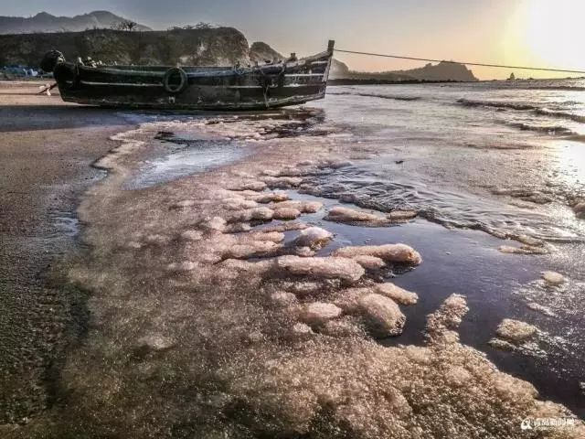 绝美!海上冰,沙上冰,海鸥栖息在海冰!