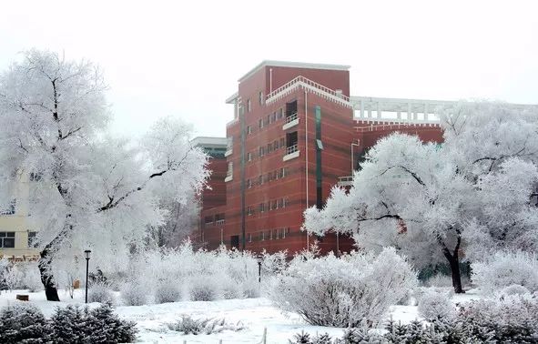 齐齐哈尔大学2018年艺术类专业招生简章