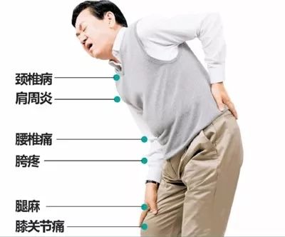 腰部疼痛,肩周炎,颈椎病,退行性膝关节炎……老年人的颈肩腰腿痛的