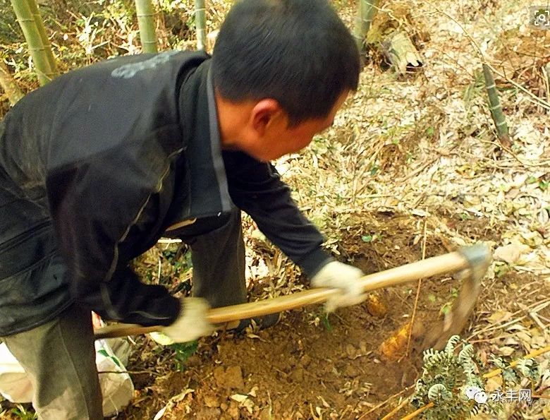 铅山多少人口_铅山烫粉(3)