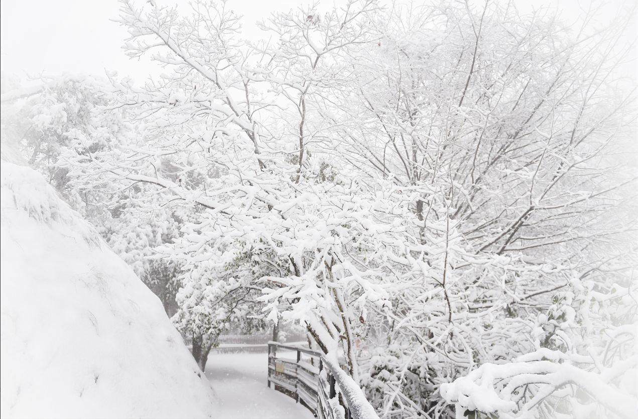 什么雪皑皑成语_雪之下雪乃(3)