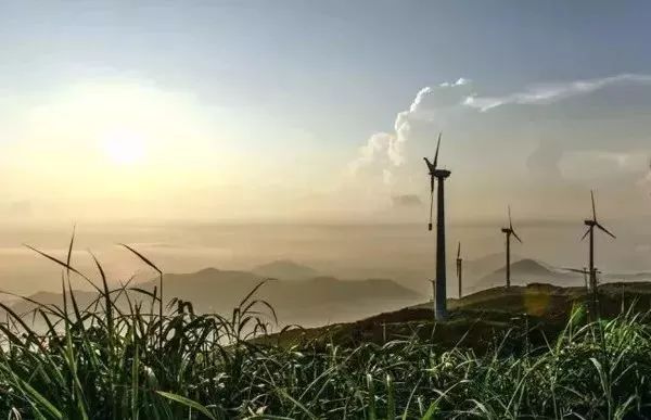 鹤顶山——苍南最高峰