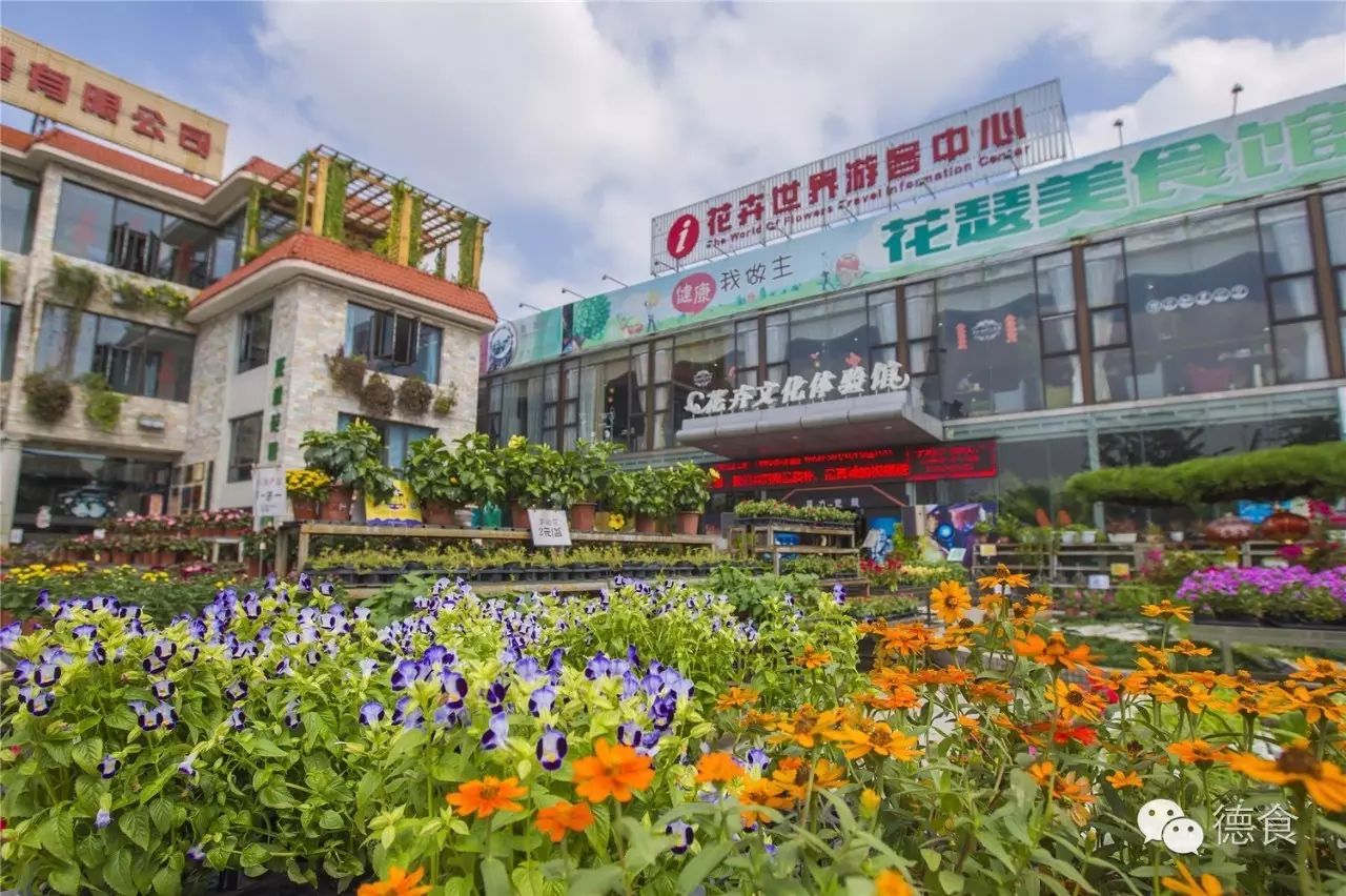 >> 花瑟美食馆 花瑟位于陈村花卉世界的花卉文化体验馆里,走进去花香