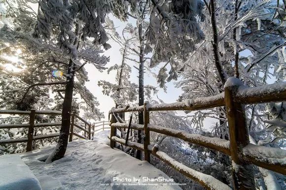 感受一下老君山的雪景,大口畅快的呼吸着冷冽且清新的空气,突然觉得人