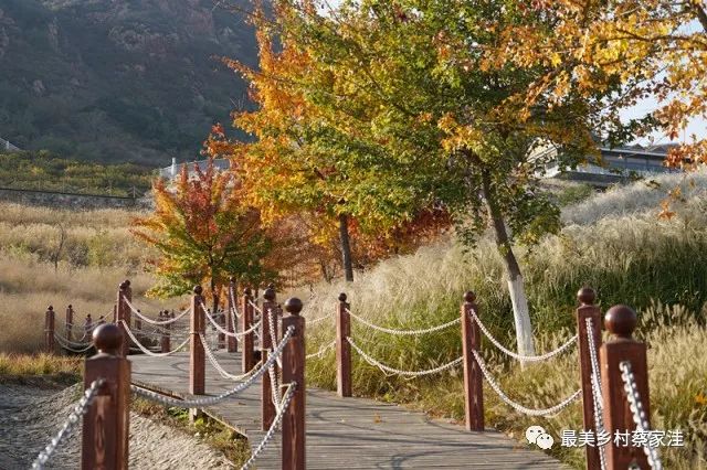 密云区巨各庄镇蔡家洼村冲进全国名村