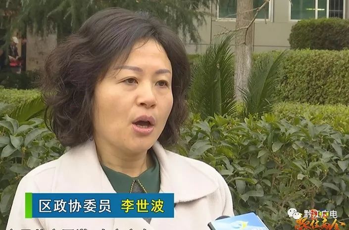 区人大代表,政协委员热议政府工作报告