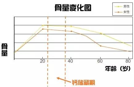 但是骨头会储存更多的钙质强健骨骼,直到35岁左右形成骨峰值,也就是存