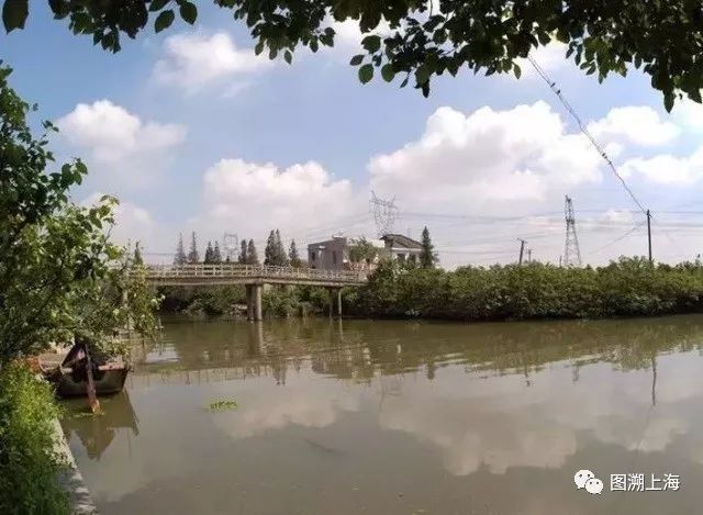 骆驼墩马桥平原村戚家墩寺前村崧泽汤庙村亭林姚家圈柘林中国考古学