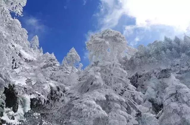 禄劝县城人口_高山别庄 梅里雪山房车营地(3)