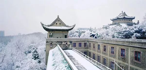 武汉大学樱园雪景