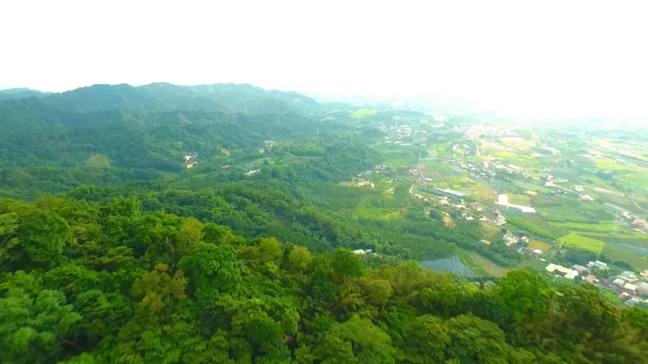 居有竹!布满诗意的青竹文化园区