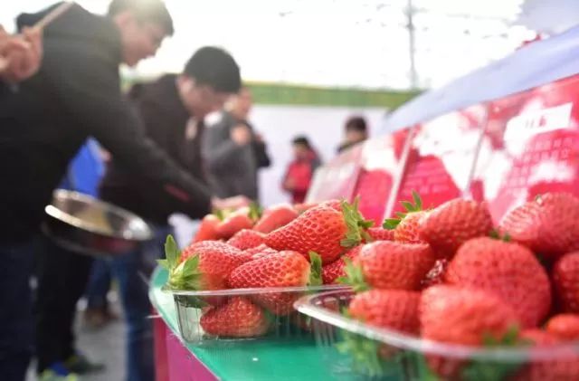 昨天,第十届建德新安江·中国草莓节在建德草莓小镇开幕,持续时间至4