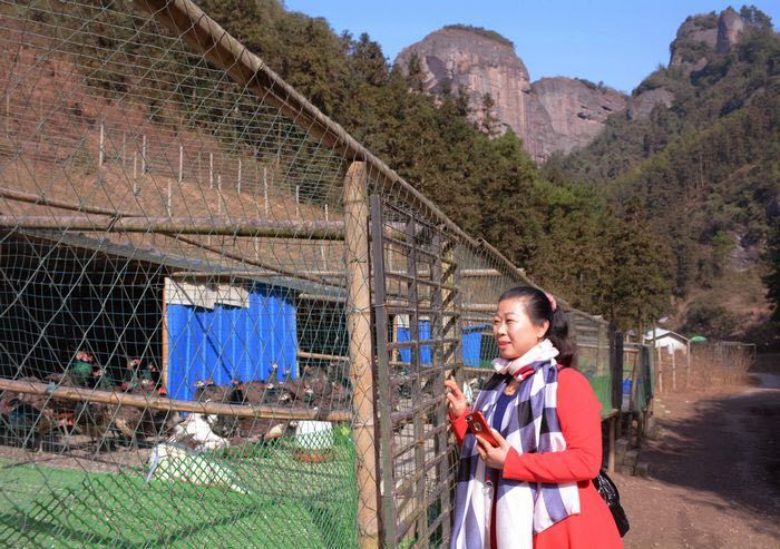 提示: 12 日,湖南省新宁县崀山镇石田村3组孔雀园里,游客们带着小孩