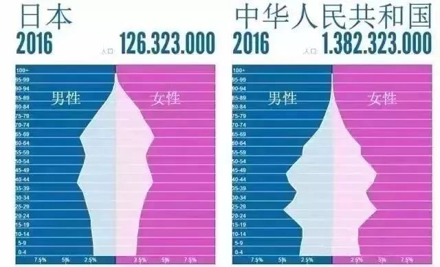 中国日本人口年龄结构图_中国人口年龄结构图(3)