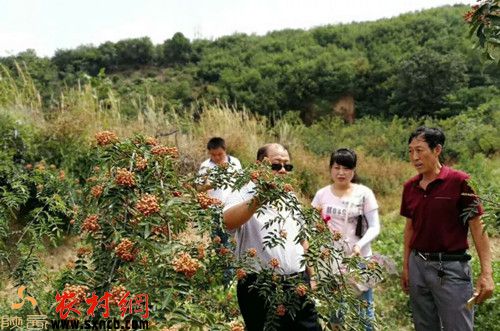 孟沟村人口_孟庄镇郑屯人口