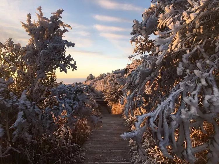 去南国第一雪山—建宁金铙山滑雪,冬天最不能错过的事