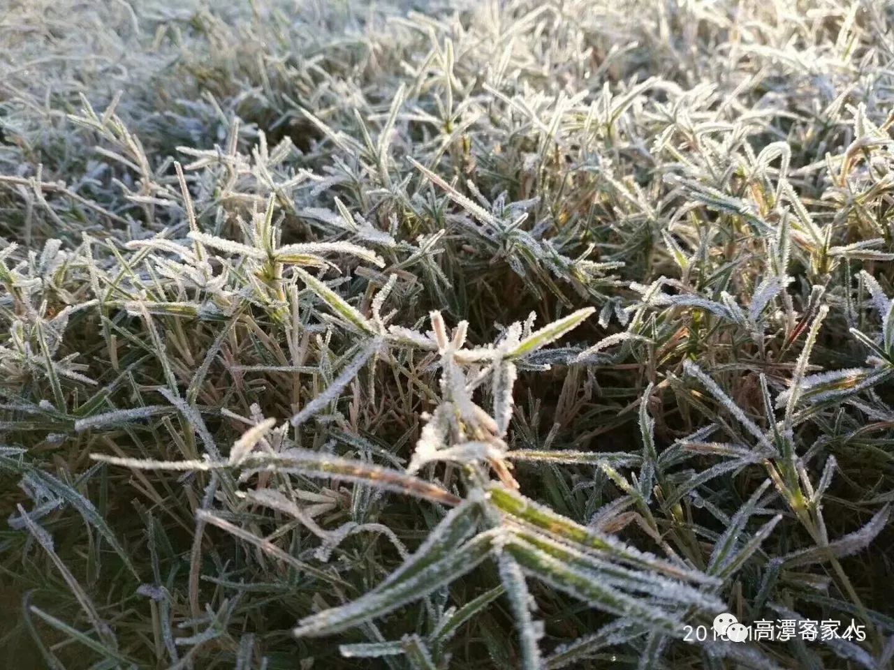 我们村有故事,高潭坳头村,下霜了!太美了!