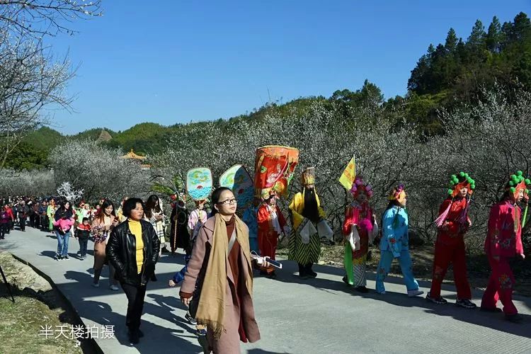 陆河县东坑镇共光"万亩梅园"举行2018年梅花节系列活动