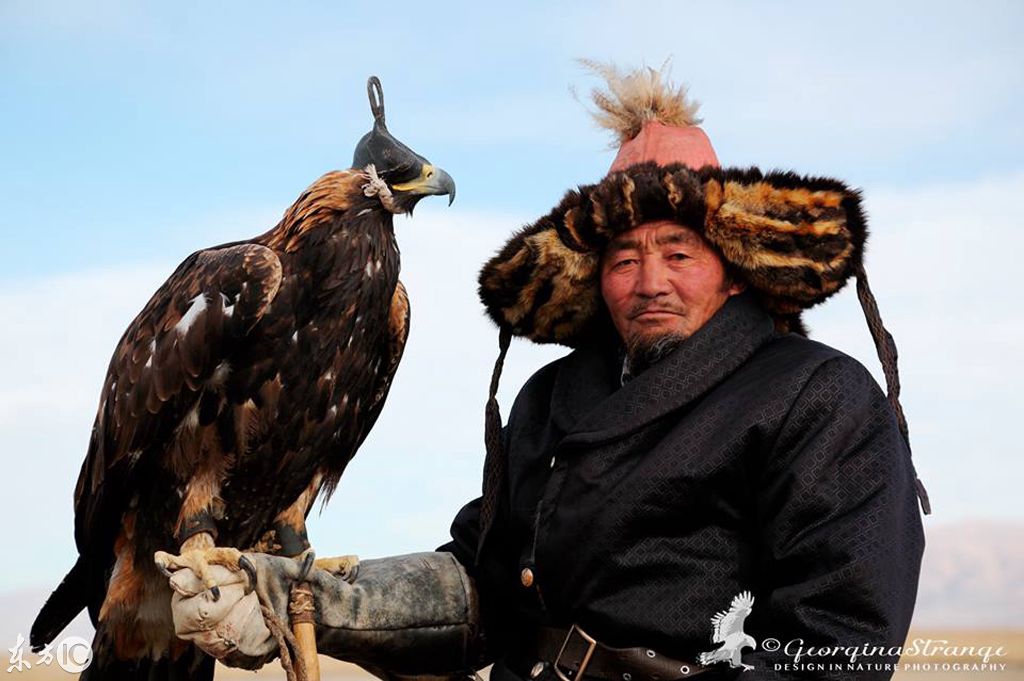 鹰有多少人口_北流隆盛镇有多少人口