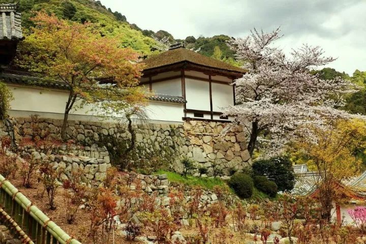 山川异域,风月同天:镰仓八大绝美古寺