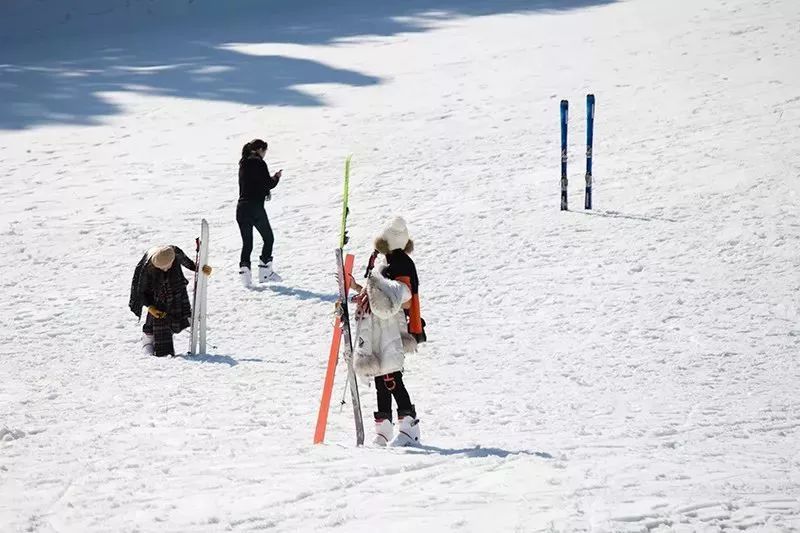 玉苍山滑雪场位于苍南县桥墩镇境内玉苍山国家森林公园景区的华玉