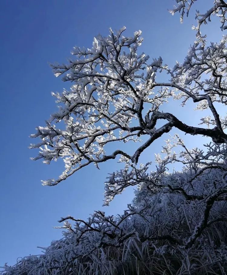 去南国第一雪山—建宁金铙山滑雪,冬天最不能错过的事