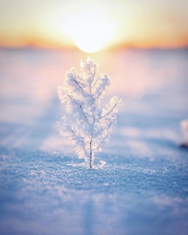 宁静的雪花在窗外飘落